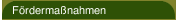 Fördermaßnahmen